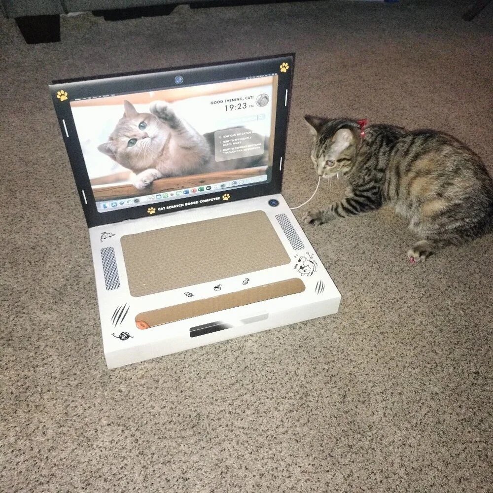 Cat Laptop Scratcher | Cardboard Cat Scratcher 